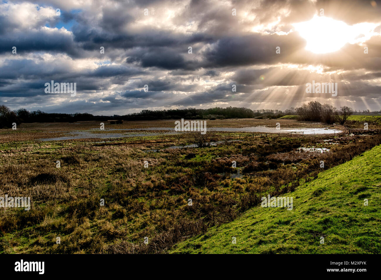 Eine dramatische, aber sonnigen Himmel über dem Schulensmeer und Schulensbroek in Lummen, Belgien, einen Bereich zwischen 2 Flüssen und in bekannte Hochwasser t Stockfoto