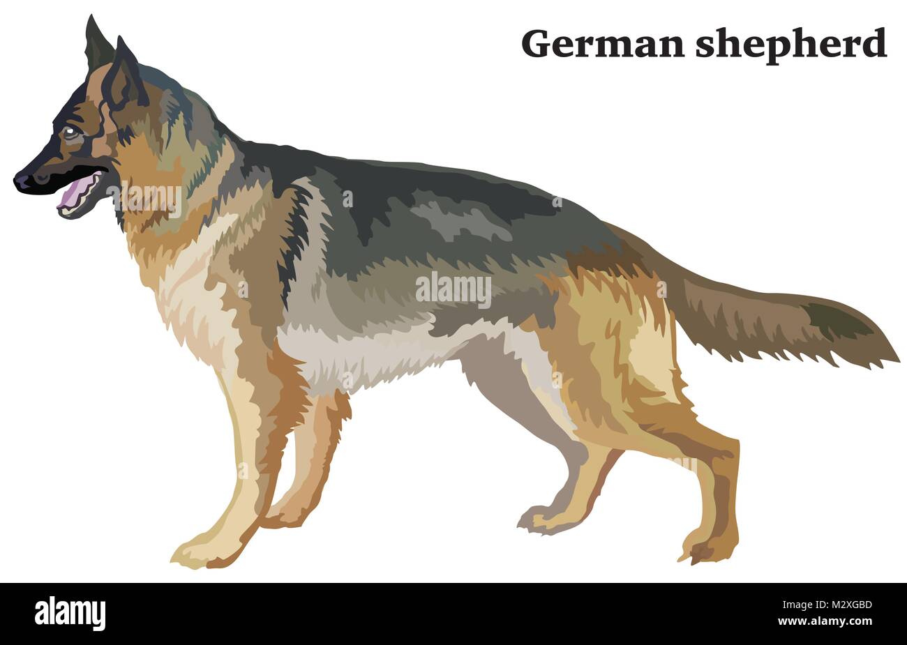 Portrait von ständigen im Profil hund Schäferhund, Vektor bunte Abbildung auf weißem Hintergrund Stock Vektor