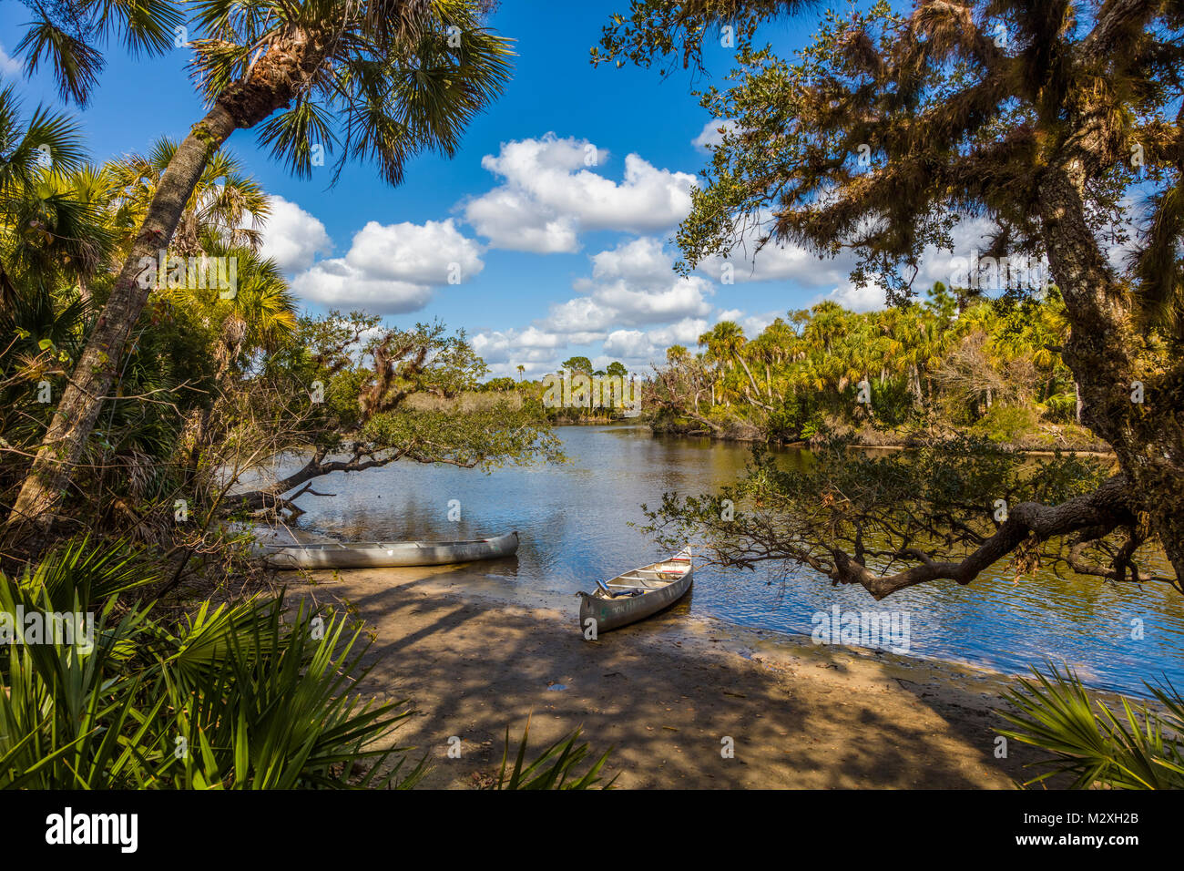 Kanus in Myakka Fluss in Jelks bewahren in Sarasota County in Venedig Florida Vereinigte Staaten von Amerika Stockfoto