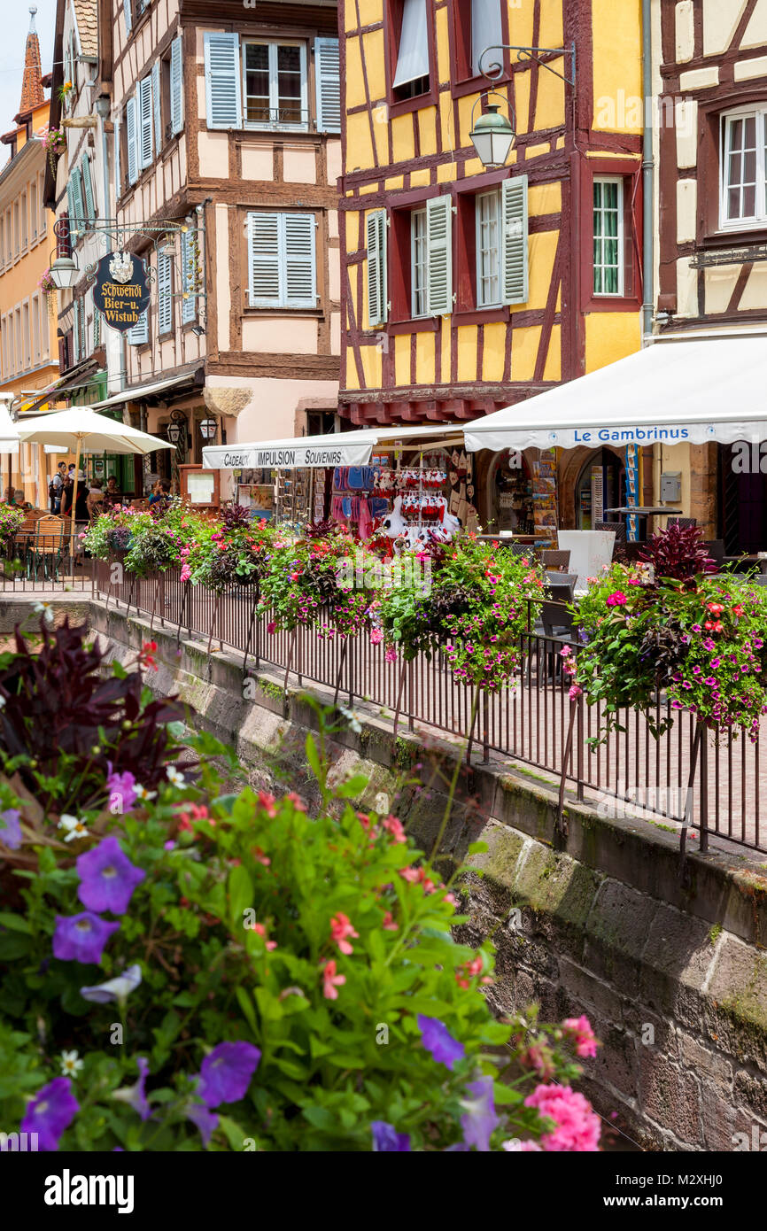 Fachwerk, Blumen und Straßenszene in Colmar, Elsass, Frankreich Stockfoto