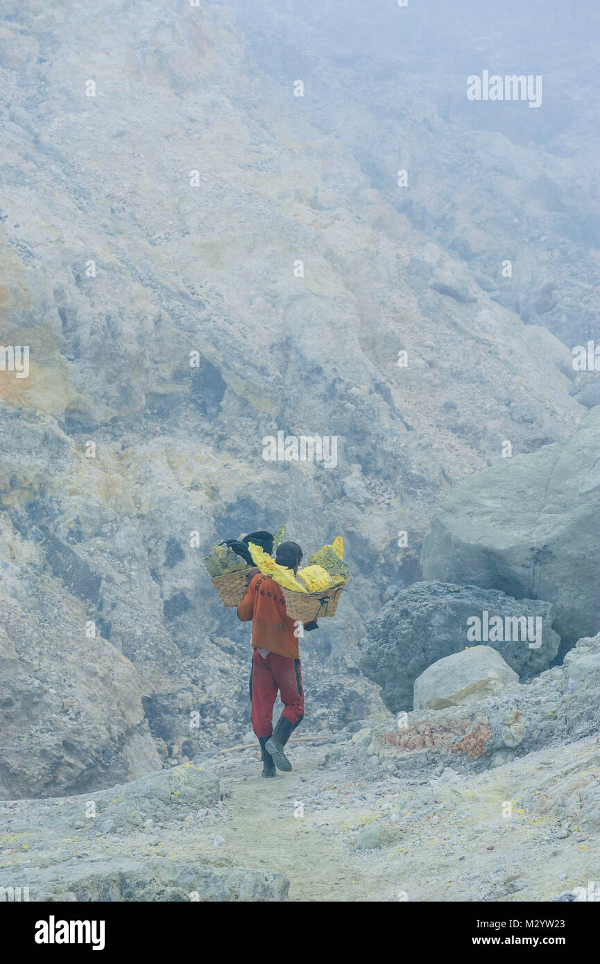 Arbeiter mit voll beladenen Körben von Schwefel, die es unseren des Ijen Vulkans, Java, Indonesien Stockfoto