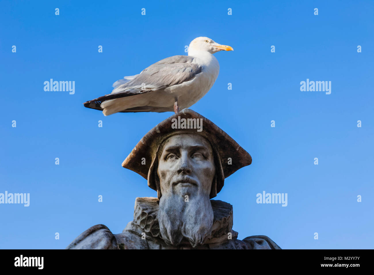 England, Devon, Exeter, Statue von Richard Hooker mit Möwe auf dem Kopf Stockfoto