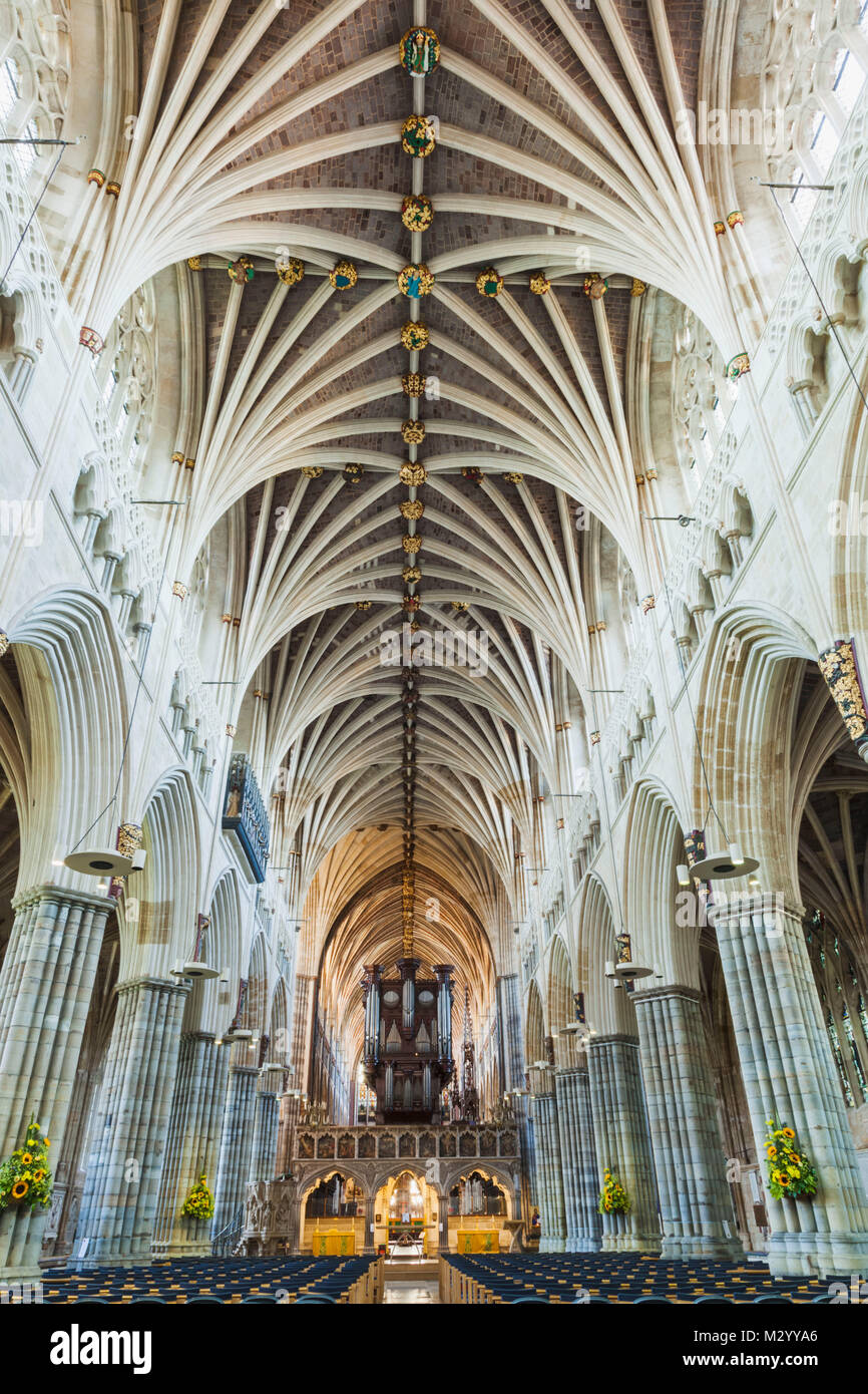 England, Devon, Exeter, Exeter Kathedrale, Innenansicht Stockfoto