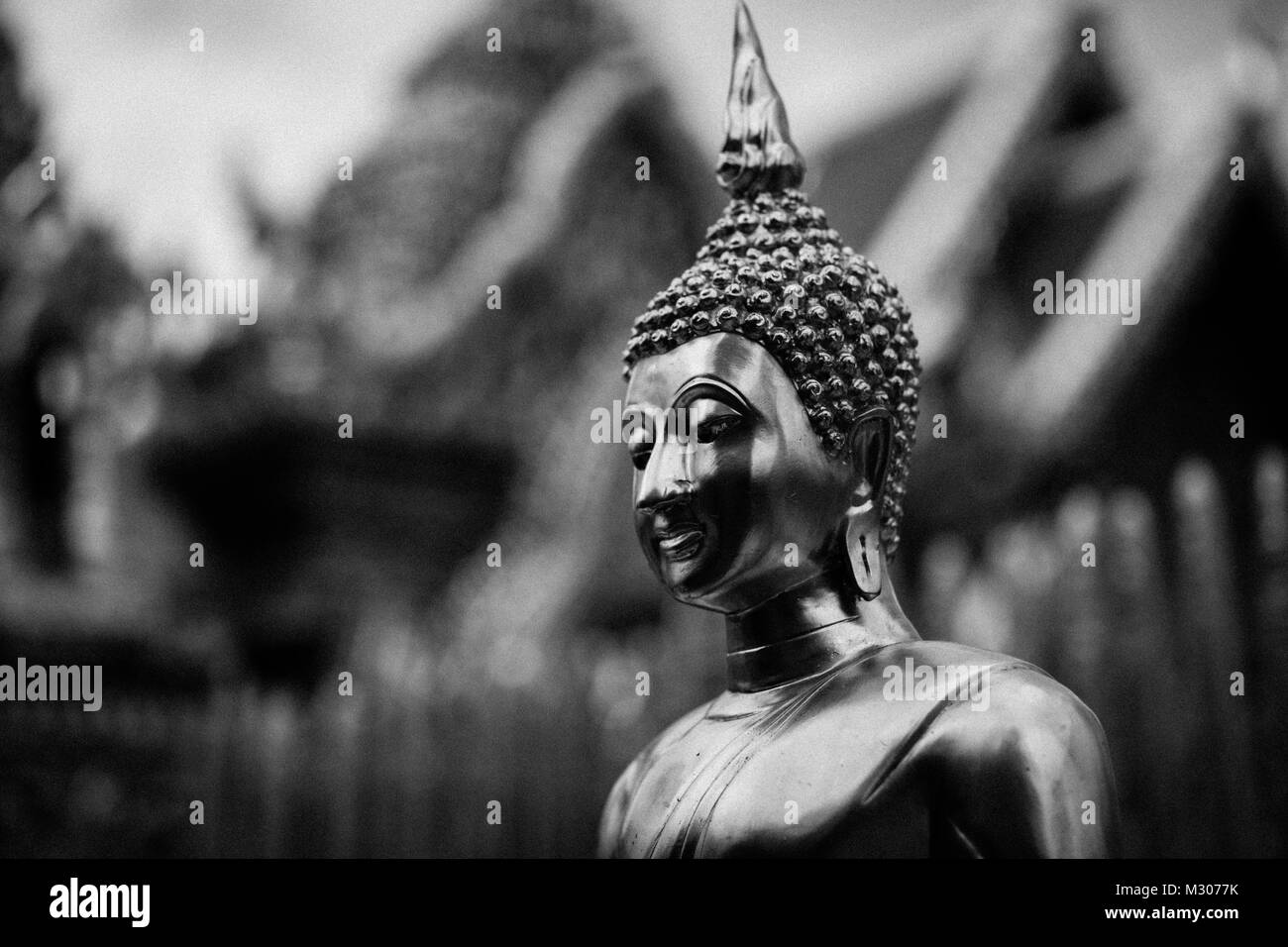 Buddha Statue in Thailand, Südostasien Stockfoto