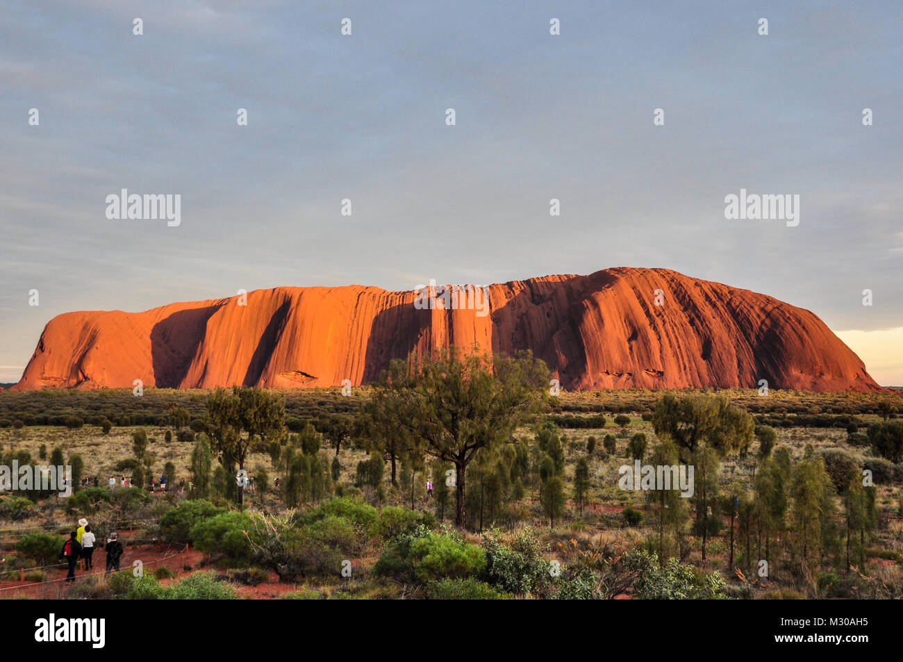 Schöne Aussicht auf den Uluru, Ayers Rock, vor Sonnenaufgang im Uluru-Kata Tjuta National Park, Northern Territory, Australien Stockfoto