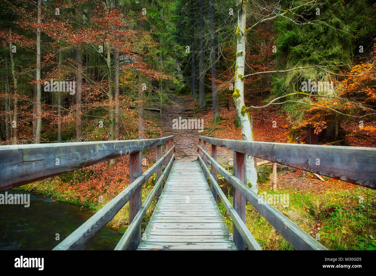 Eine hölzerne Brücke über den Edmund Schlucht in der Nähe der alten Mühle Stockfoto