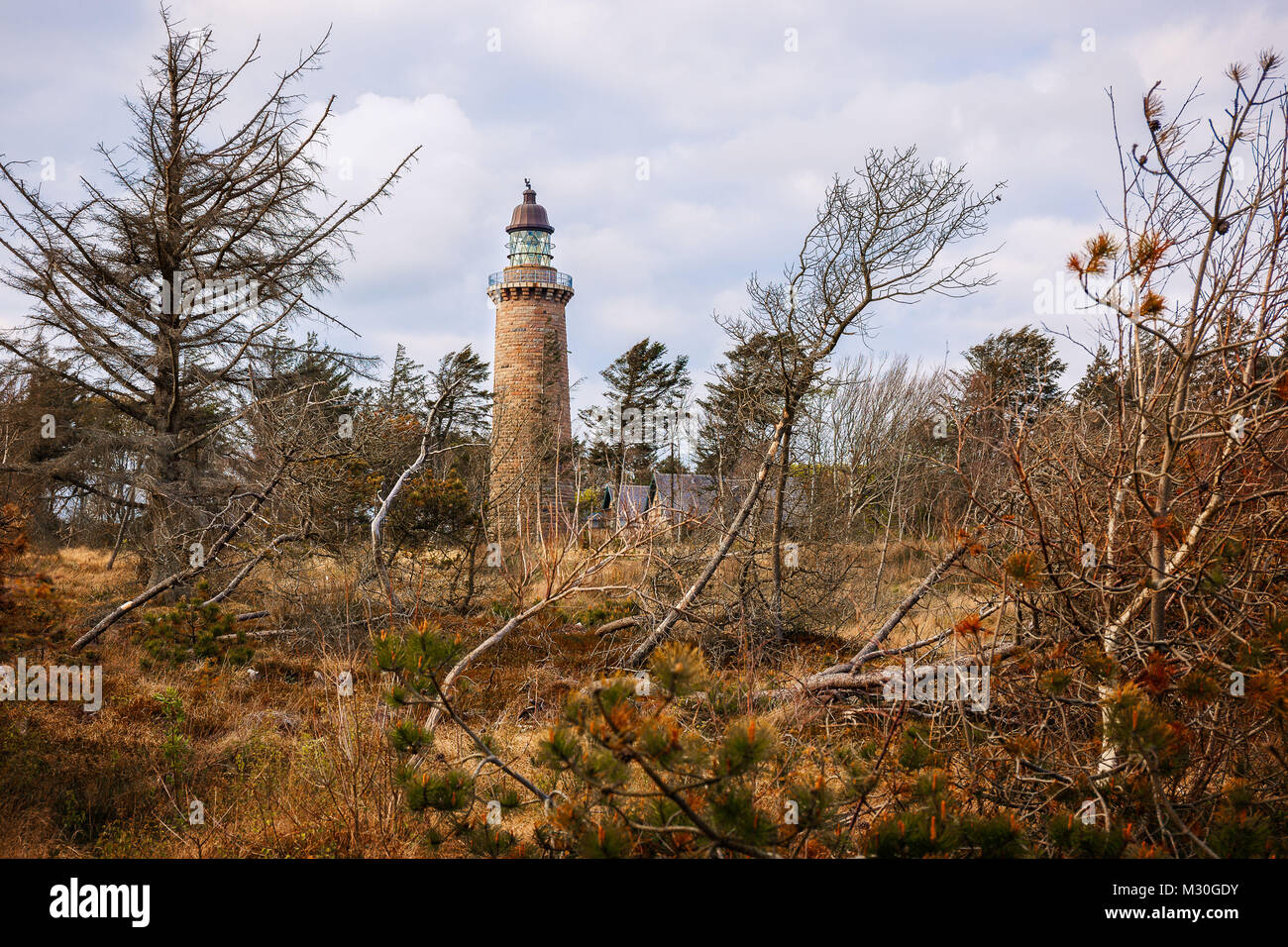 Der Leuchtturm Lodberg Fyr in der Nähe der Agger Dänemark wurde in einem Wald in der Nähe der Küste gebaut Stockfoto