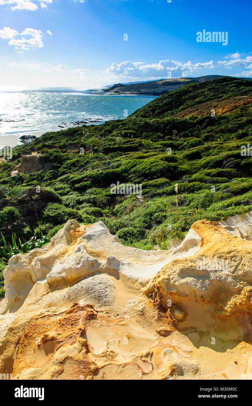 Schöne Küste in der Arai-Te-Uru Erholung finden, Hokianga Harbour, Westcoast Northland, North Island, Neuseeland Stockfoto