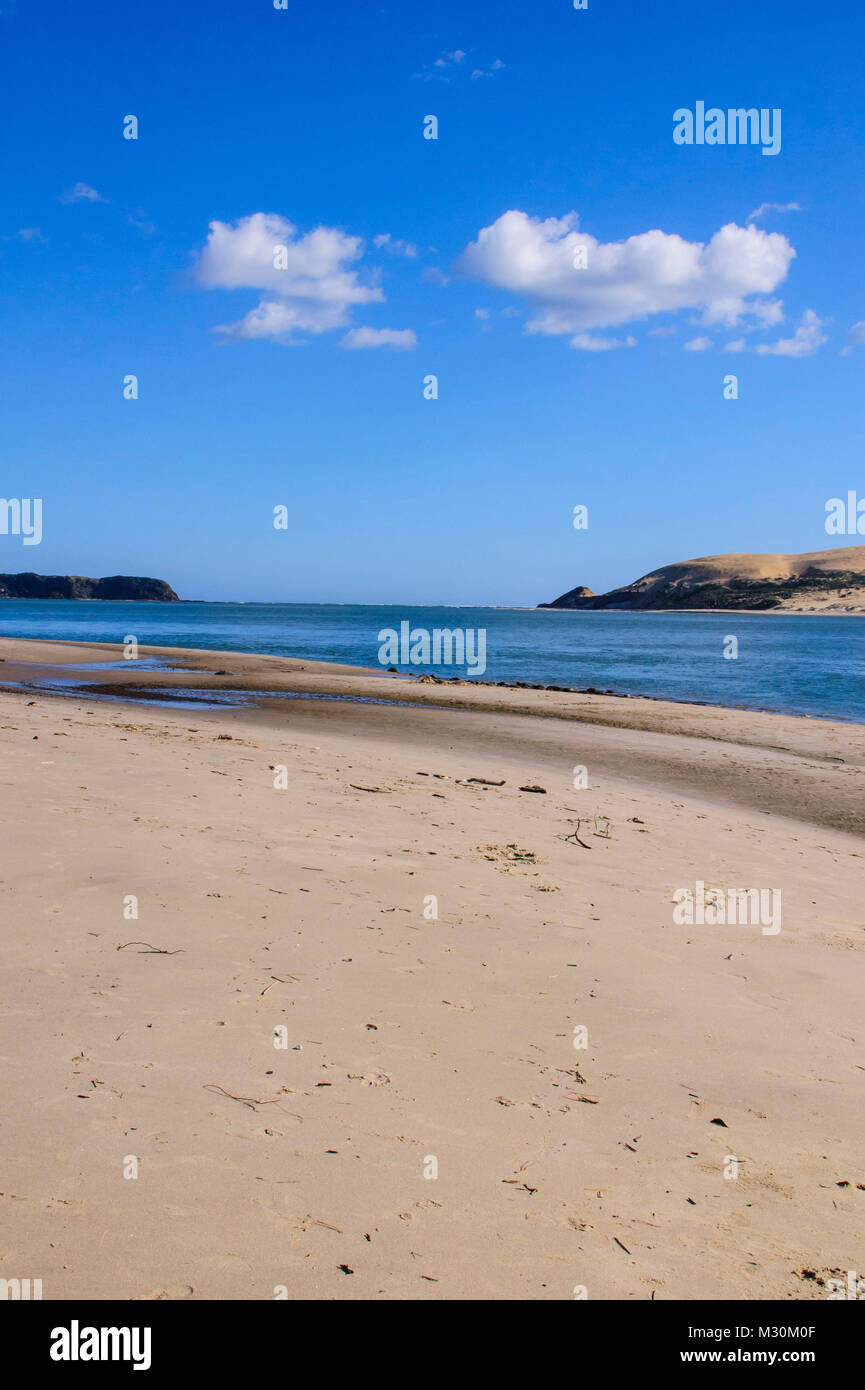 Einsamer Strand in Arai-Te-Uru Erholung Reserve Südende des Hokianga Harbour, Westcoast Northland, Nordinsel, Neuseeland Stockfoto