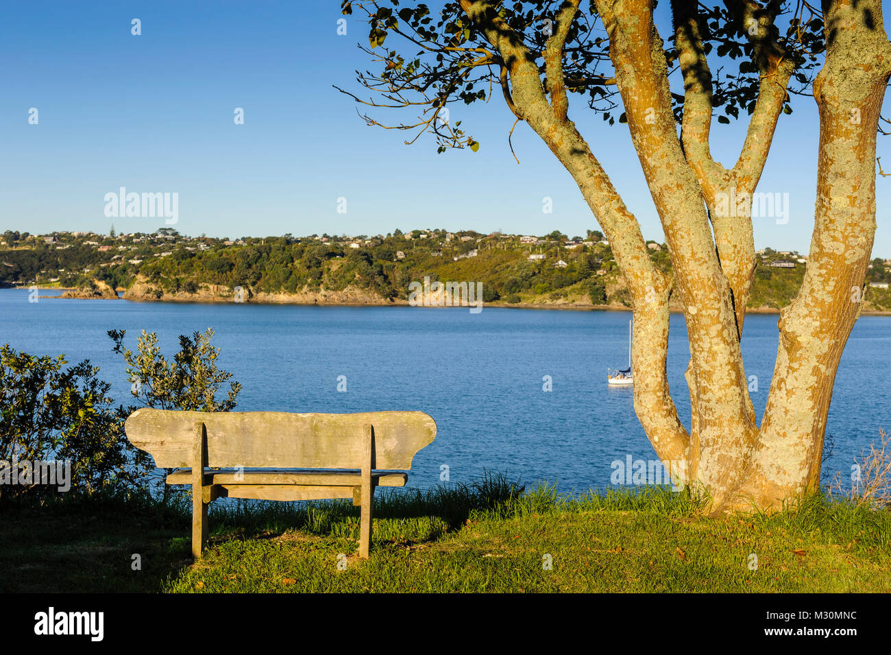 Sitzbank mit Blick auf den Strand von Oneroa auf Waiheke Island, North Island, Neuseeland Stockfoto