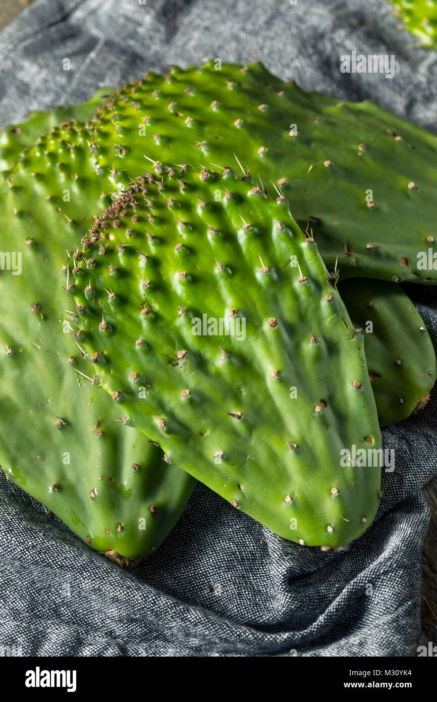 Raw Green Organic Cactus Blatt Obst bereit zu Kochen Stockfoto