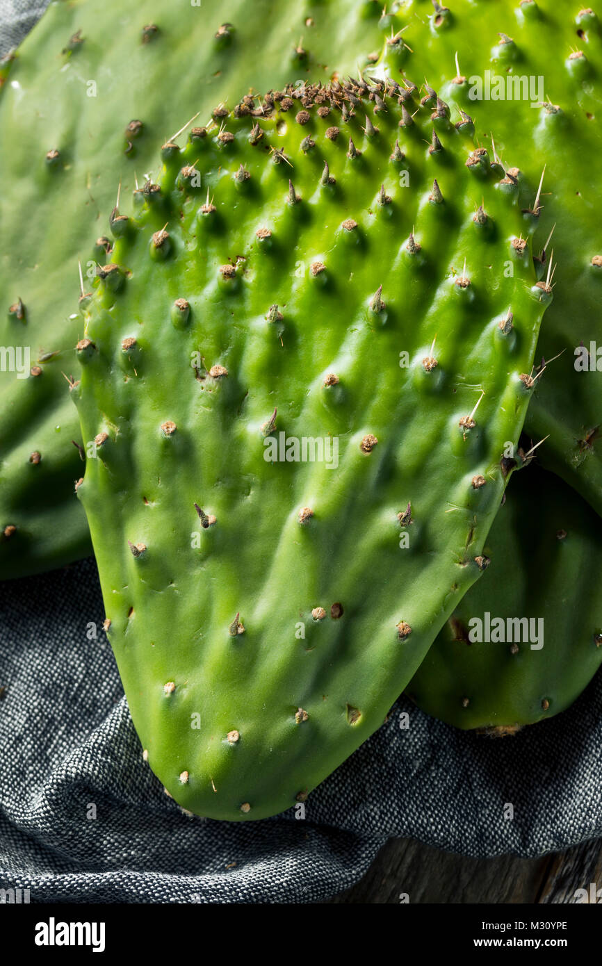 Raw Green Organic Cactus Blatt Obst bereit zu Kochen Stockfoto