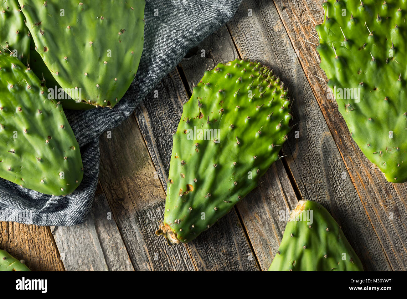 Raw Green Organic Cactus Blatt Obst bereit zu Kochen Stockfoto