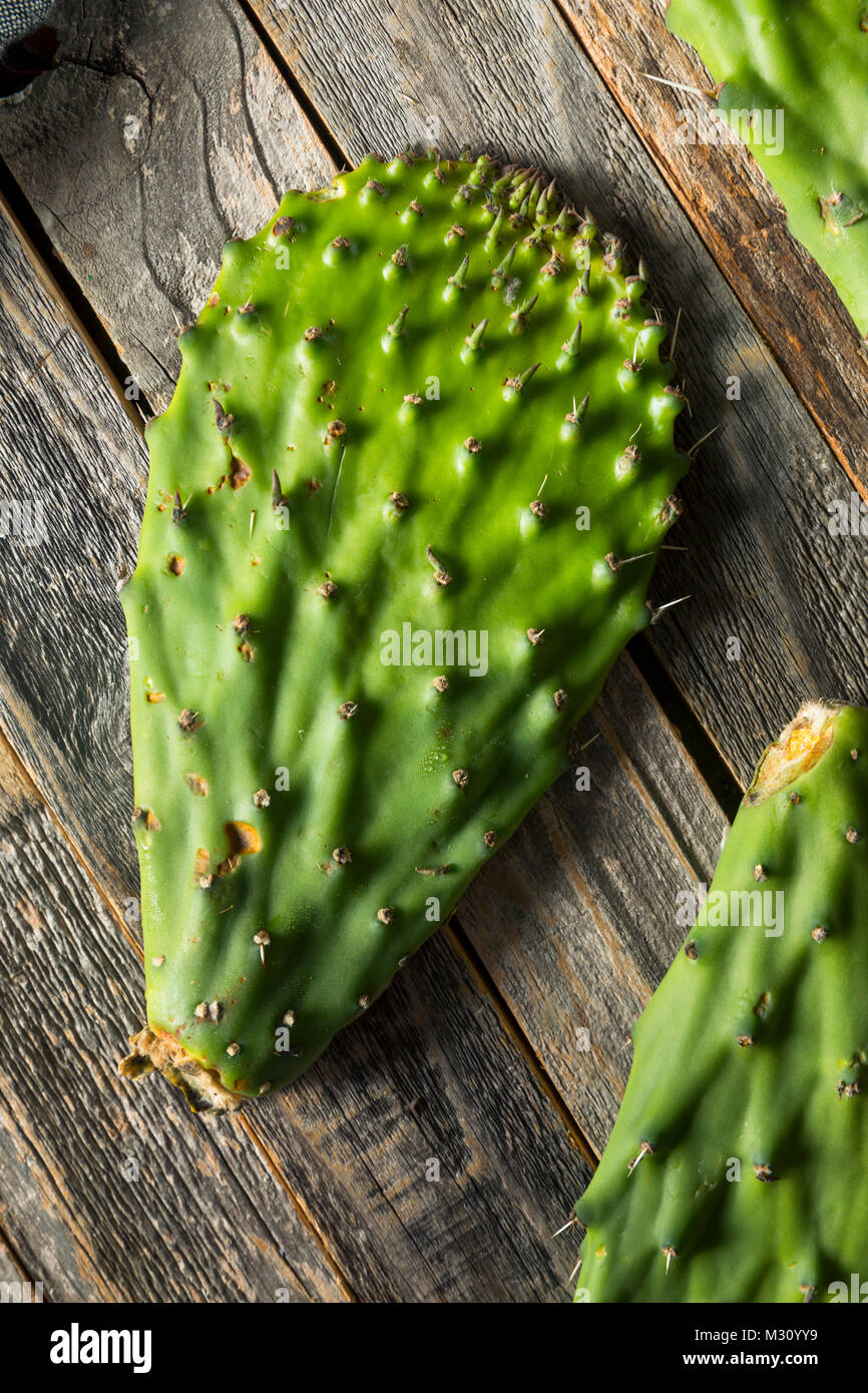 Raw Green Organic Cactus Blatt Obst bereit zu Kochen Stockfoto