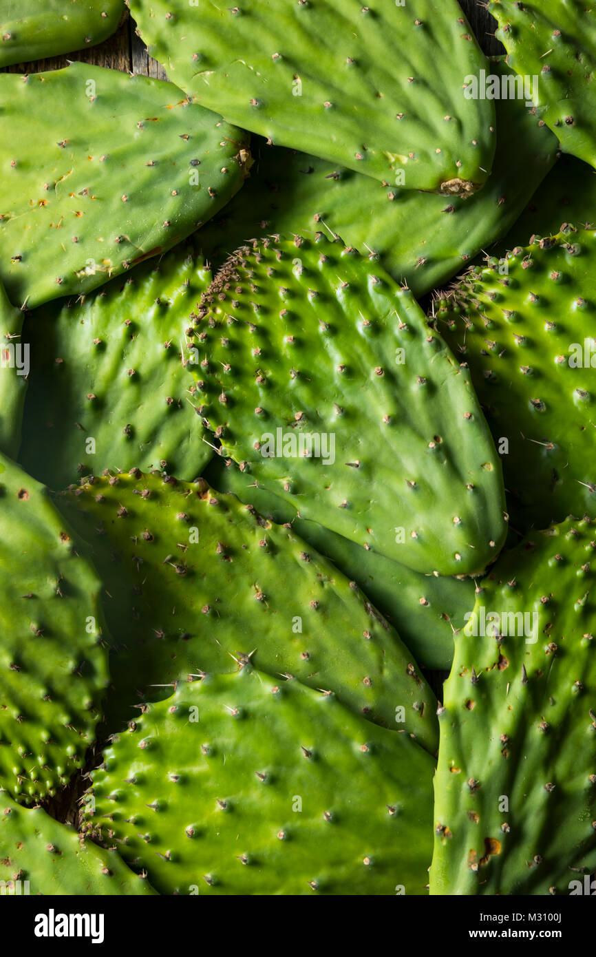Raw Green Organic Cactus Blatt Obst bereit zu Kochen Stockfoto