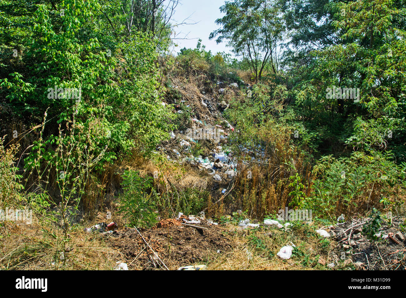 Deponie in der Nähe der Siedlung und in der Natur, ist eine ökologische Bedrohung und Scham. Stockfoto