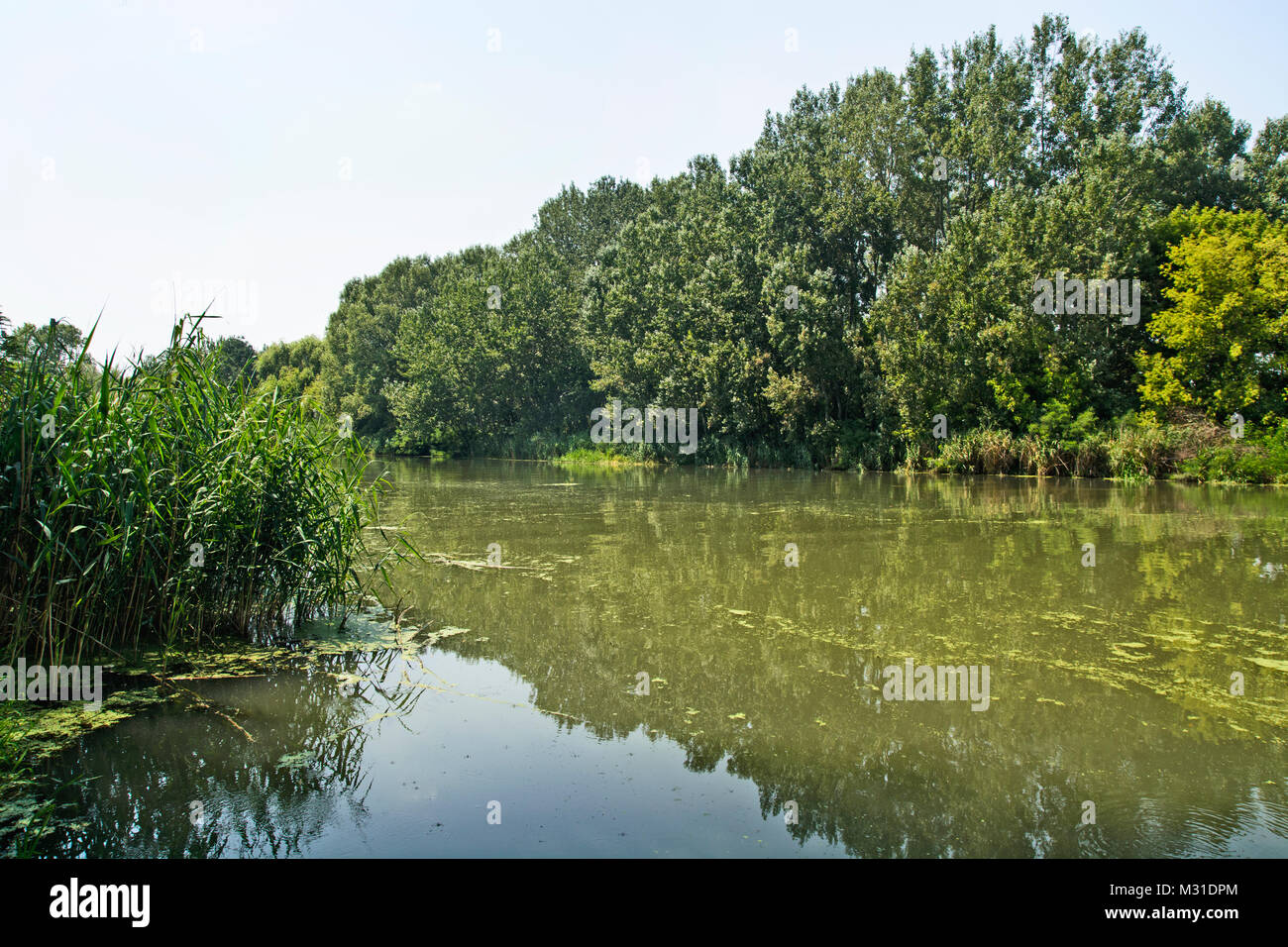 Great River Streit ruhig und gemächlich fließt durch die Ebene. Stockfoto