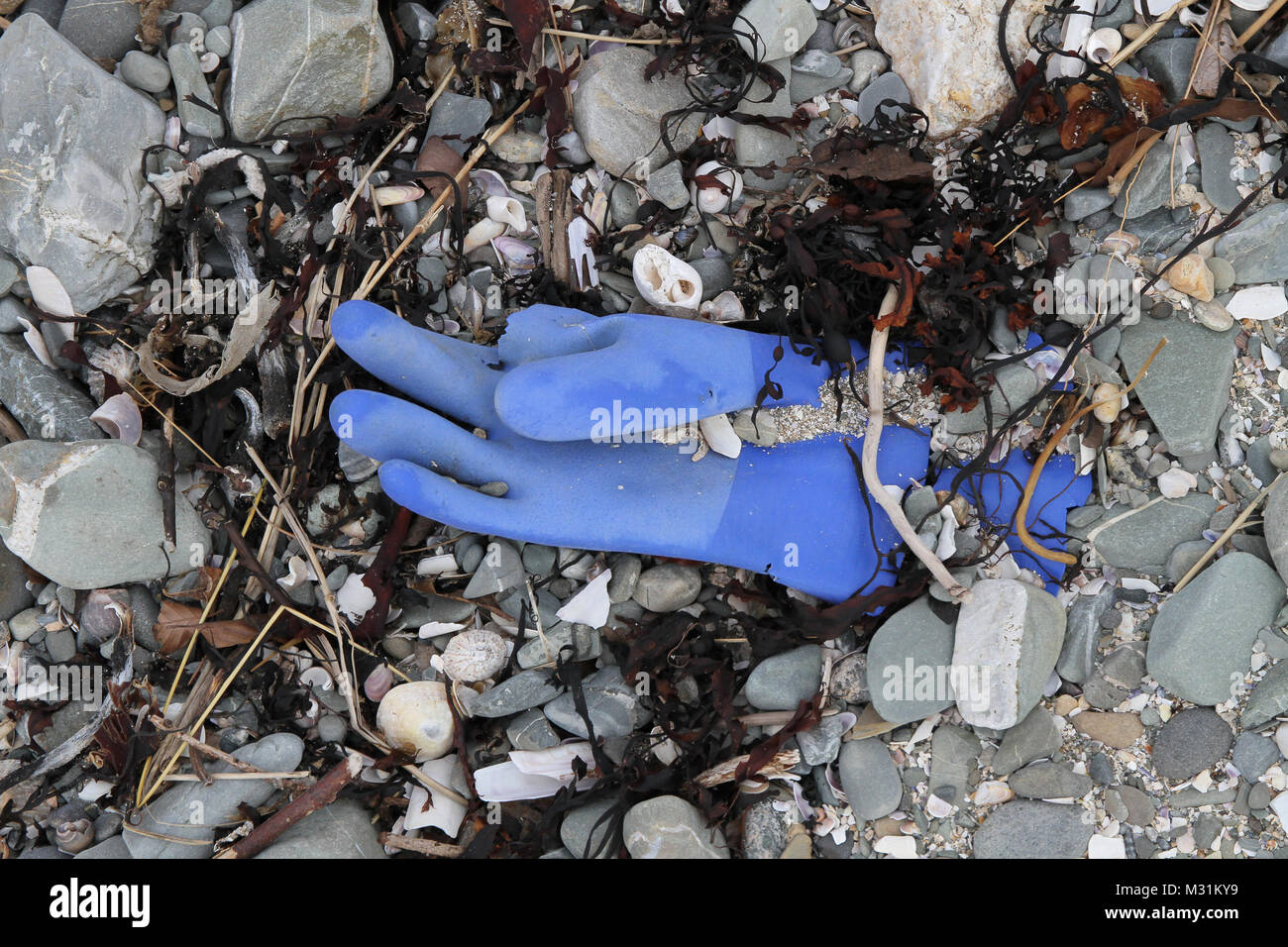 Ablagerungen an einer britischen Strand - eines Fischers blau Gummi Handschuh gewaschen oben am Strand. Stockfoto