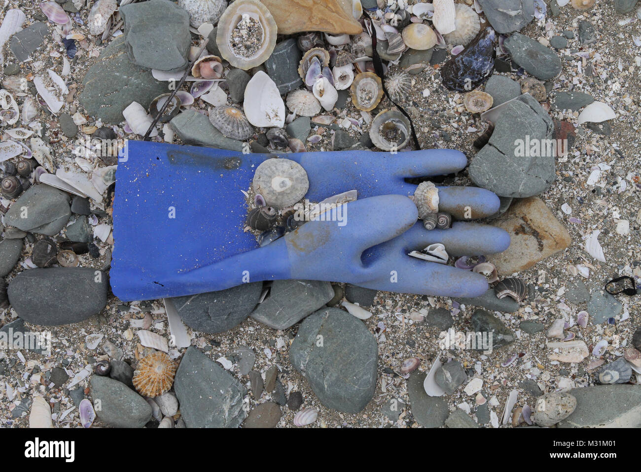 Ablagerungen an einer britischen Strand - eines Fischers blau Gummi Handschuh gewaschen oben am Strand. Stockfoto