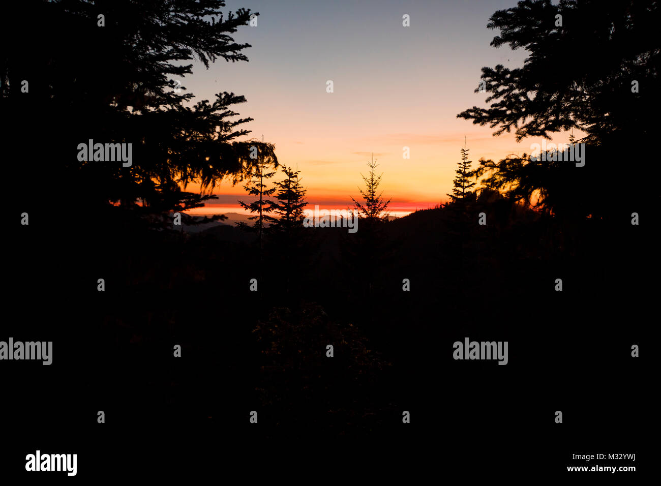 Iron Mountain Wanderung in Oregon Stockfoto