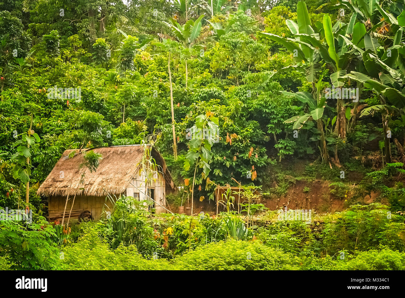 Kleine hölzerne Bambushütte im Dschungel auf der indonesischen Insel Flores Nusa Teggara Stockfoto