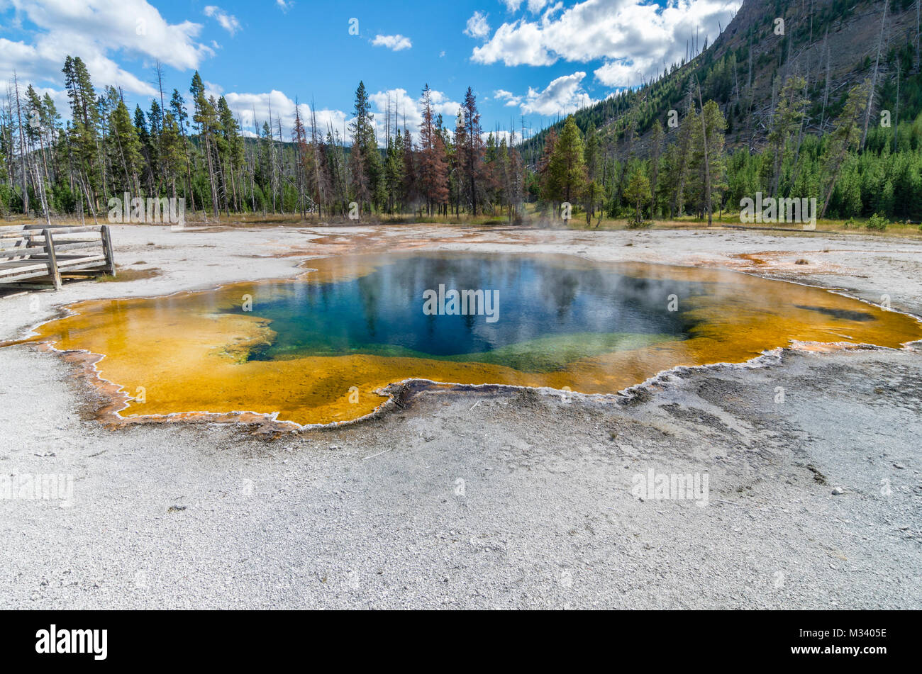 Emerald Pool in schwarzen Sand Basin ist ein auffällig gefärbten thermische Funktion. Yellowstone National Park, Wyoming, USA Stockfoto
