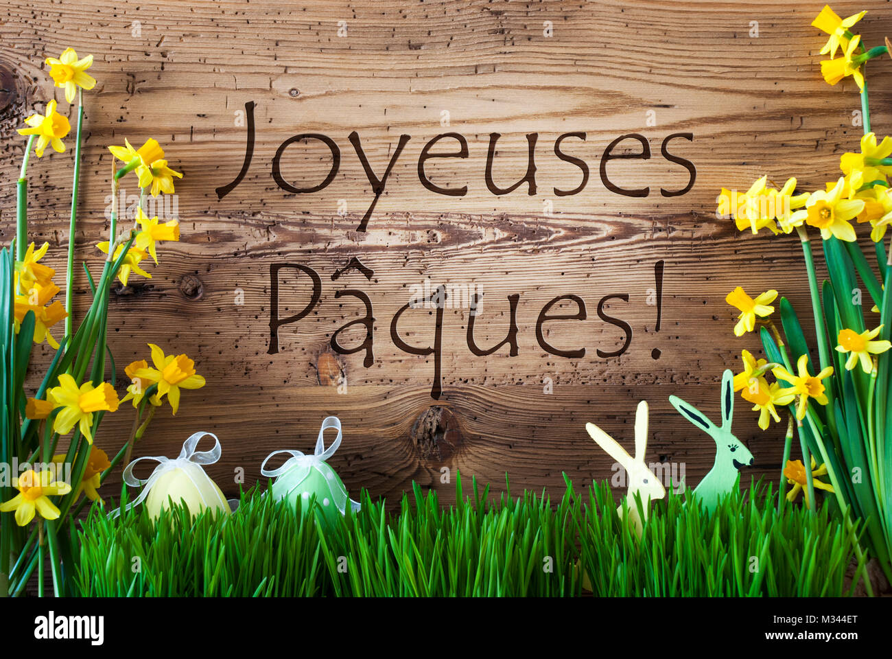 Ei und Hase, Gras, joyeuses Paques bedeutet Frohe Ostern Stockfoto