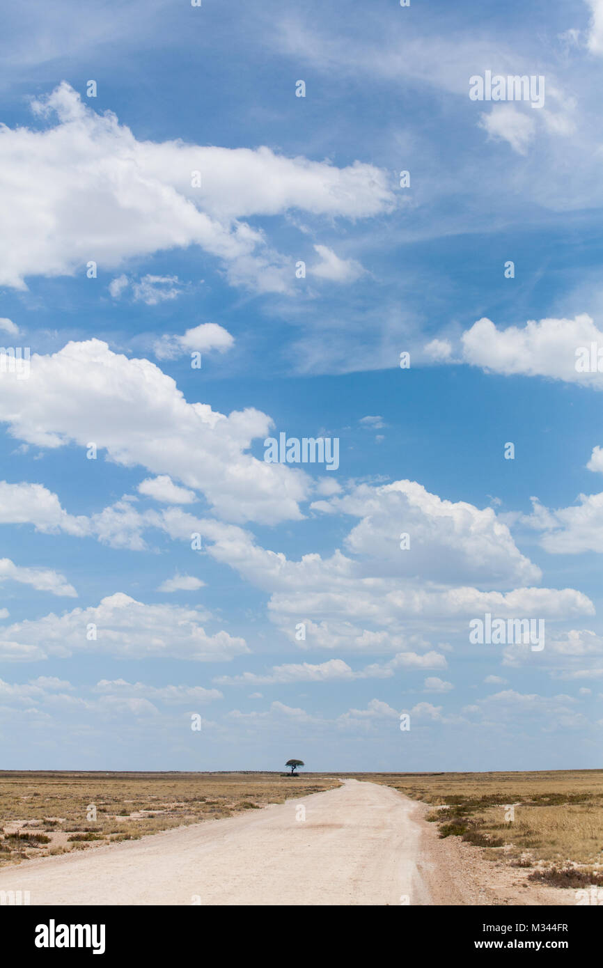 Schotterpiste durch den Etosha Nationalpark, Namibia Stockfoto