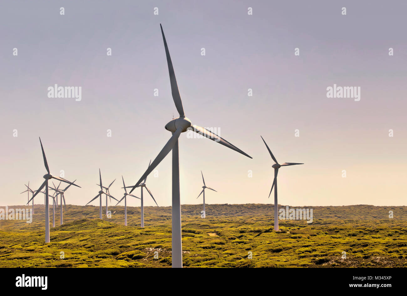 Windenergieanlagen in einem Windpark, Albany, Western Australia, Australien Stockfoto