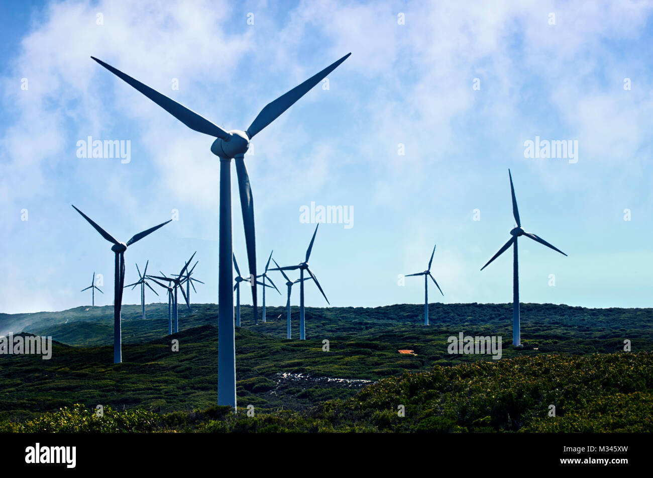 Windenergieanlagen in einem Windpark, Albany, Western Australia, Australien Stockfoto