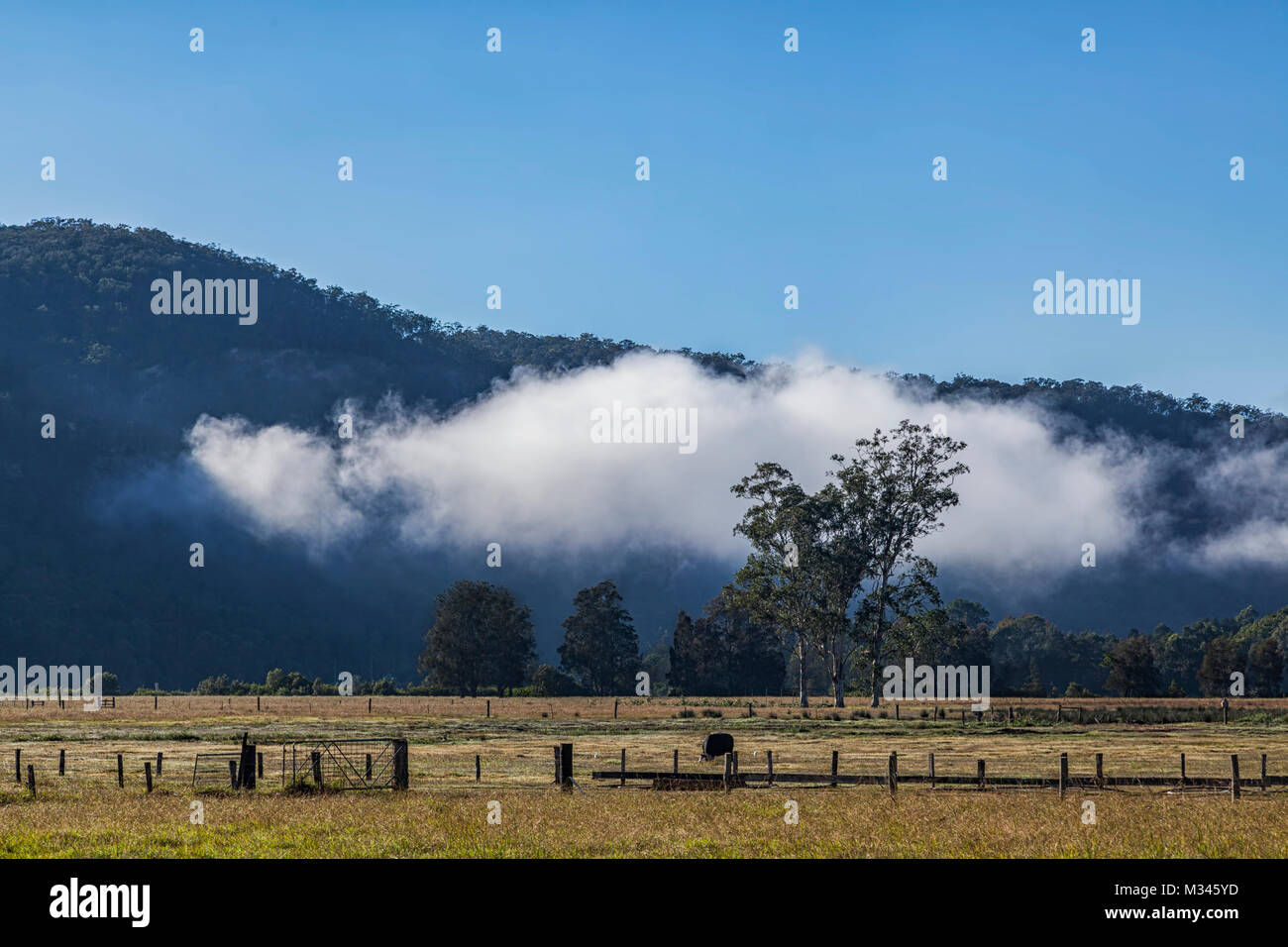 Ländliche Landschaft, Wauchope, New South Wales, Australien Stockfoto