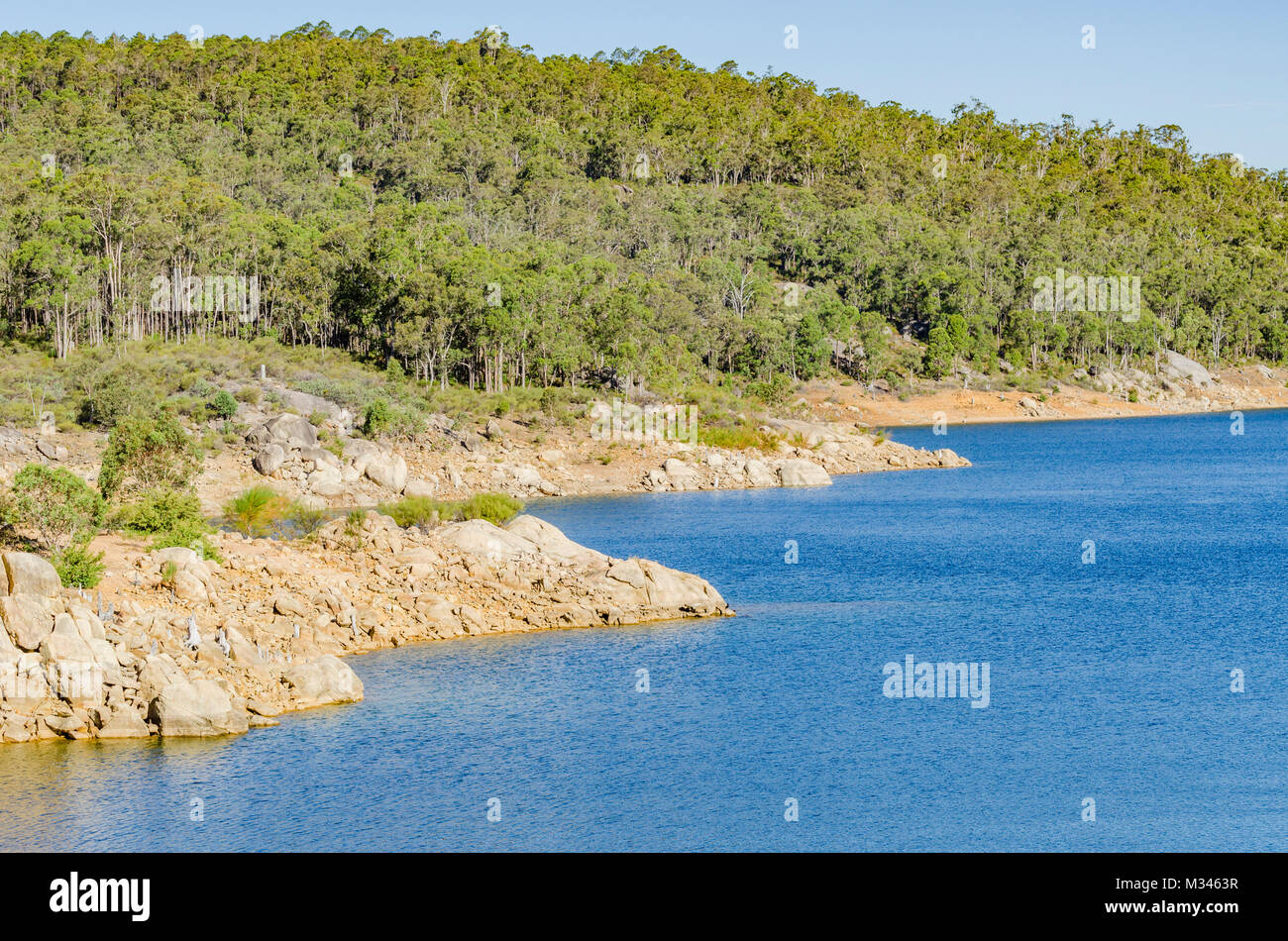 Küste, Mundaring Weir, Perth, Western Australia, Australien Stockfoto