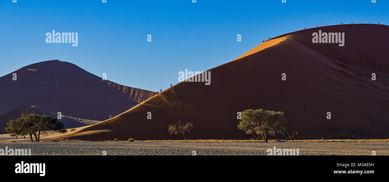 Düne 45 bei Sossusvlei, Namib Naukluft National Park, Namibia Stockfoto
