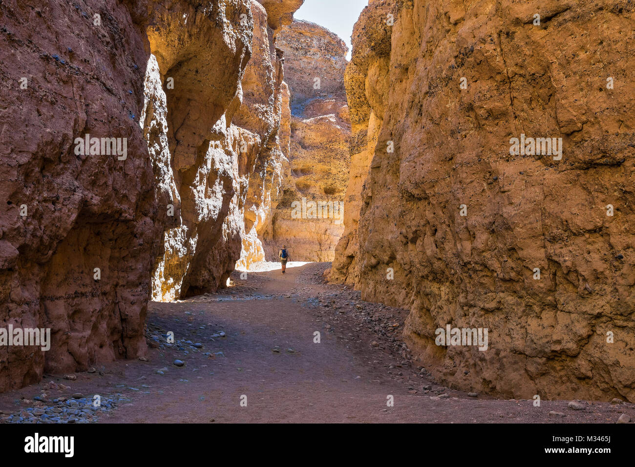 Man Walking in Sesriem Canyon, Sossusvlei, Namib Naukluft National Park, Namibia Stockfoto