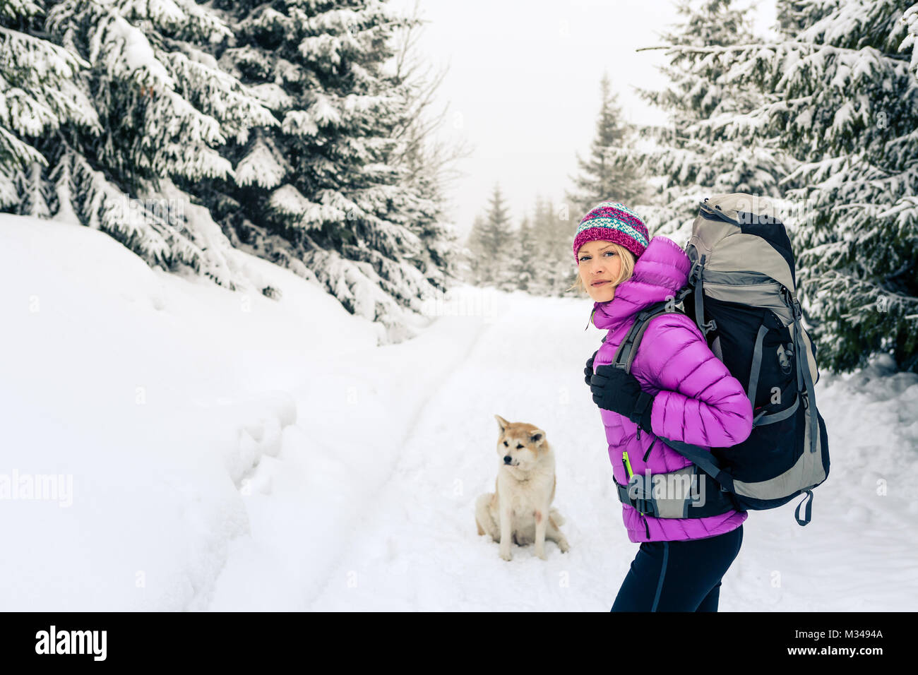 Frau wandern in weiss Winter Forest Woods mit Akita Hund. Erholung Fitness und gesunde Lebensweise draussen in der Natur. Motivation und Inspiration wi Stockfoto