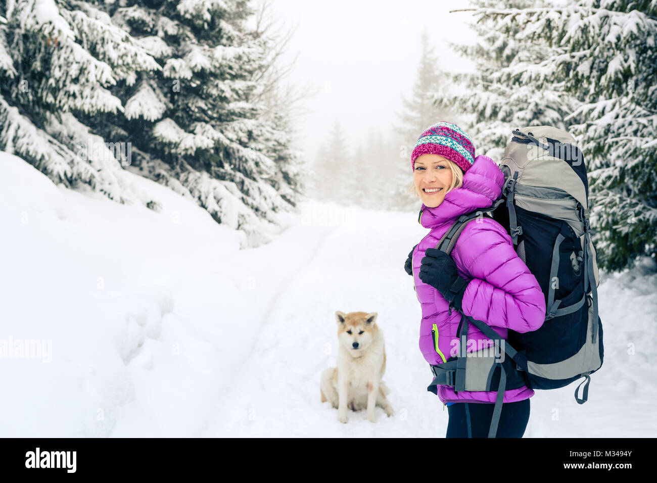 Frau wandern in weiss Winter Forest Woods mit Akita Hund. Erholung Fitness und gesunde Lebensweise draussen in der Natur. Motivation und Inspiration wi Stockfoto