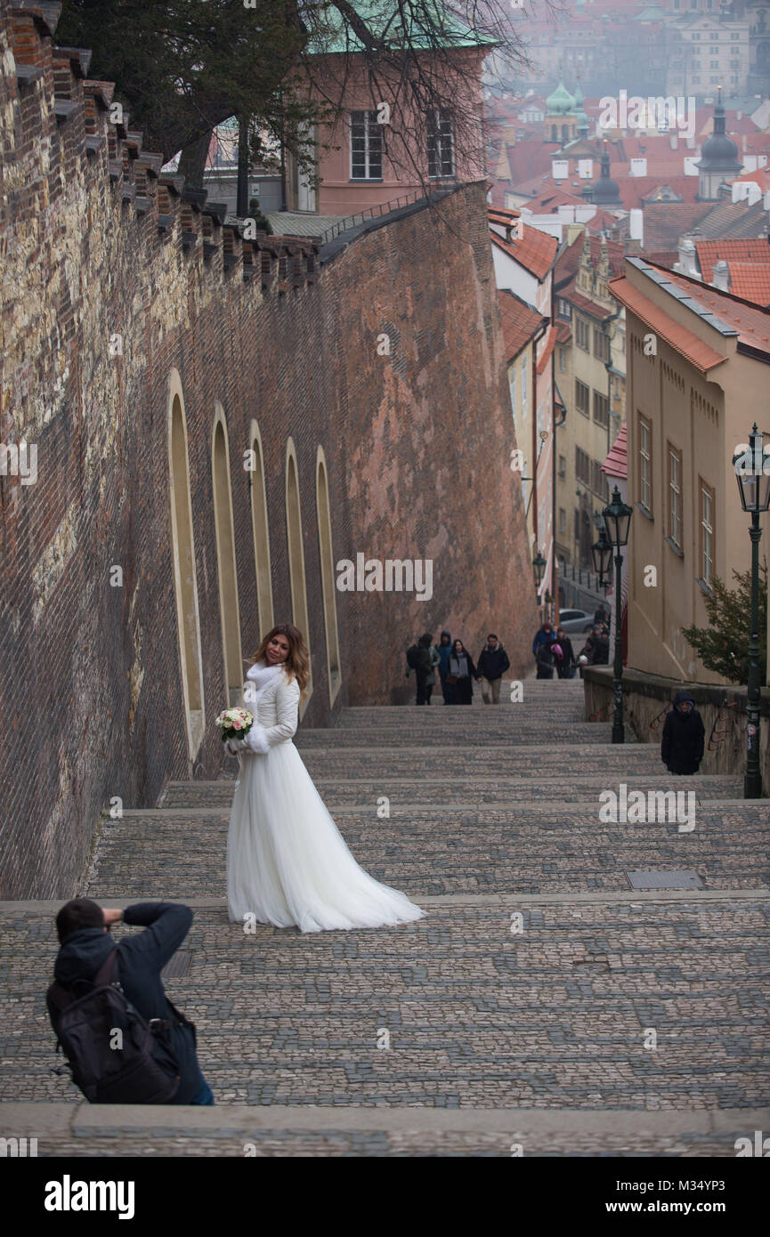 Prag, Tschechische Republik. 9 Feb, 2018. Eine kurze posiert für ein Foto beim Fototermin in Prag Prag ist die Hauptstadt der Tschechischen Republik. Es hat eine Bevölkerung von über 1,3 Millionen im Jahr 2017. Credit: Omar Marques/SOPA/ZUMA Draht/Alamy leben Nachrichten Stockfoto