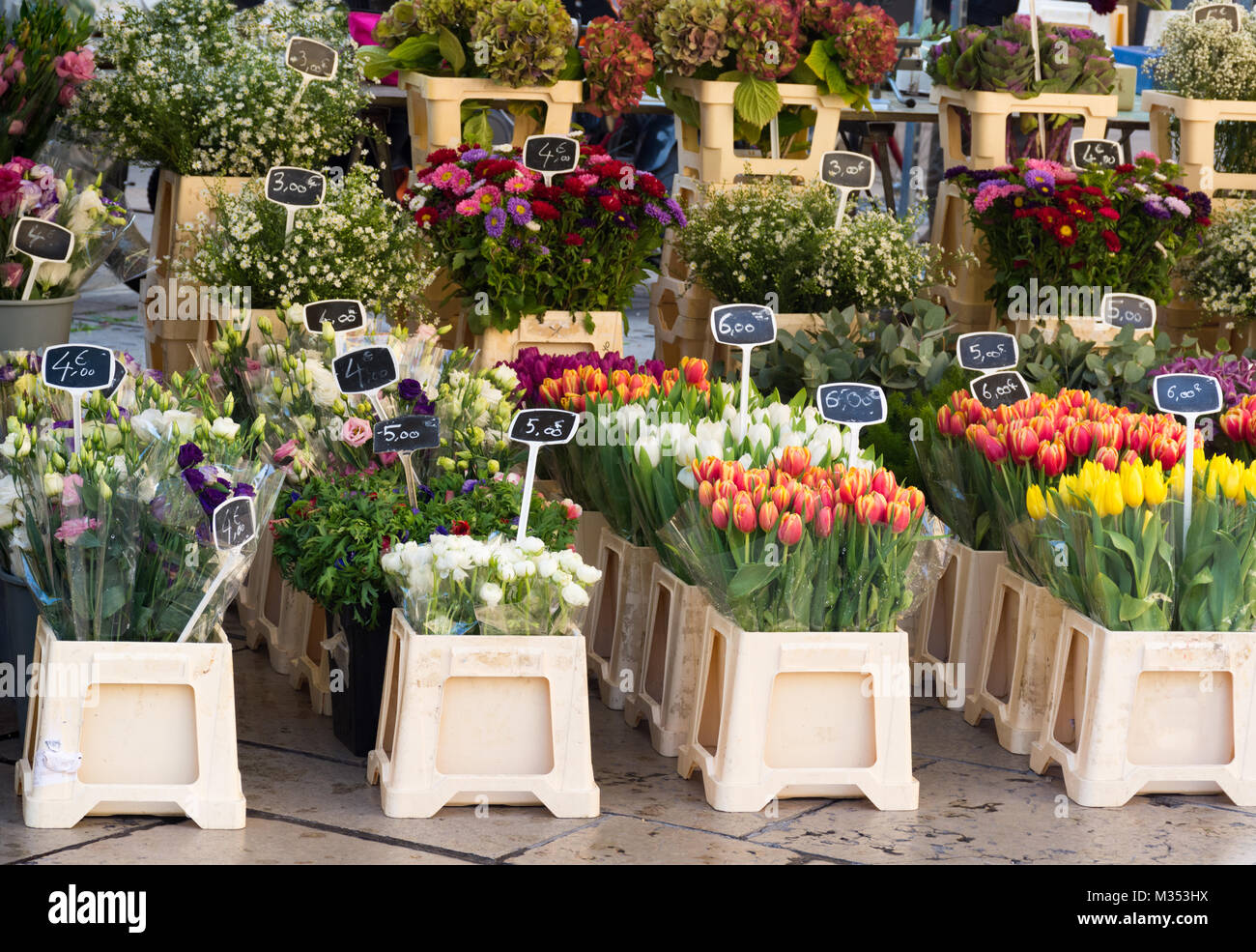 Trauben von Tulpen, Astern, dekorative Kale, Hortensie, Mohn, Rosen und Eukalyptus für den Verkauf in den Blumenmarkt in Aix-en-Provence Frankreich. Stockfoto