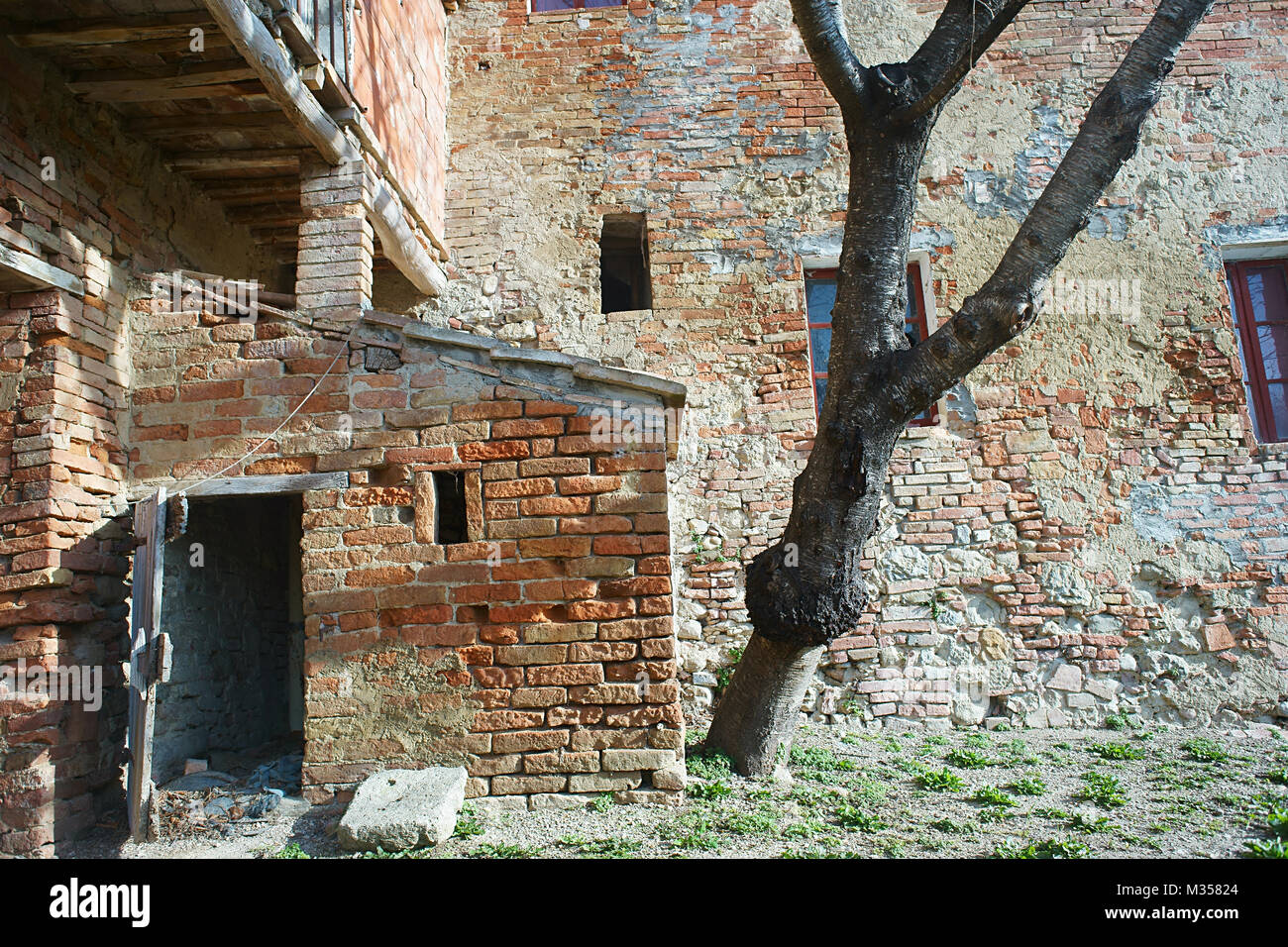 Verfallenes Haus in monterngriffoli, San Giovanni d'Asso, Montalcino, Toskana, Italien Stockfoto