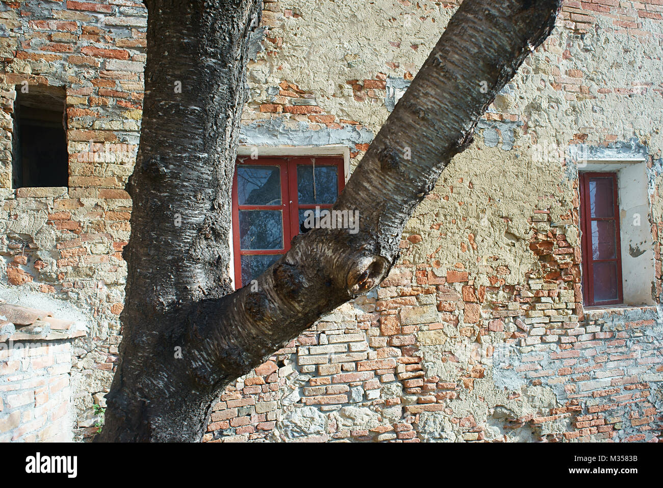 Verfallenes Haus in monterngriffoli, San Giovanni d'Asso, Montalcino, Toskana, Italien Stockfoto