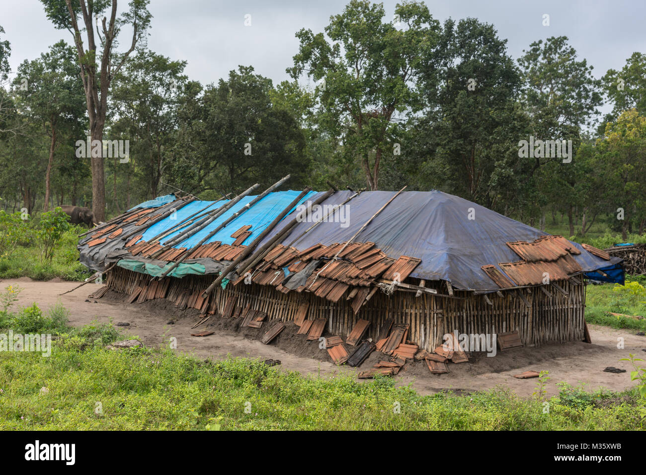 Coorg, Indien - 29. Oktober 2013: DUBARE Elephant Camp. Einfamilienhaus ist lang Bambus-lehmhütte mit blauer Plane und einige Scheiben als Dach. Grüne Dschungel Stockfoto