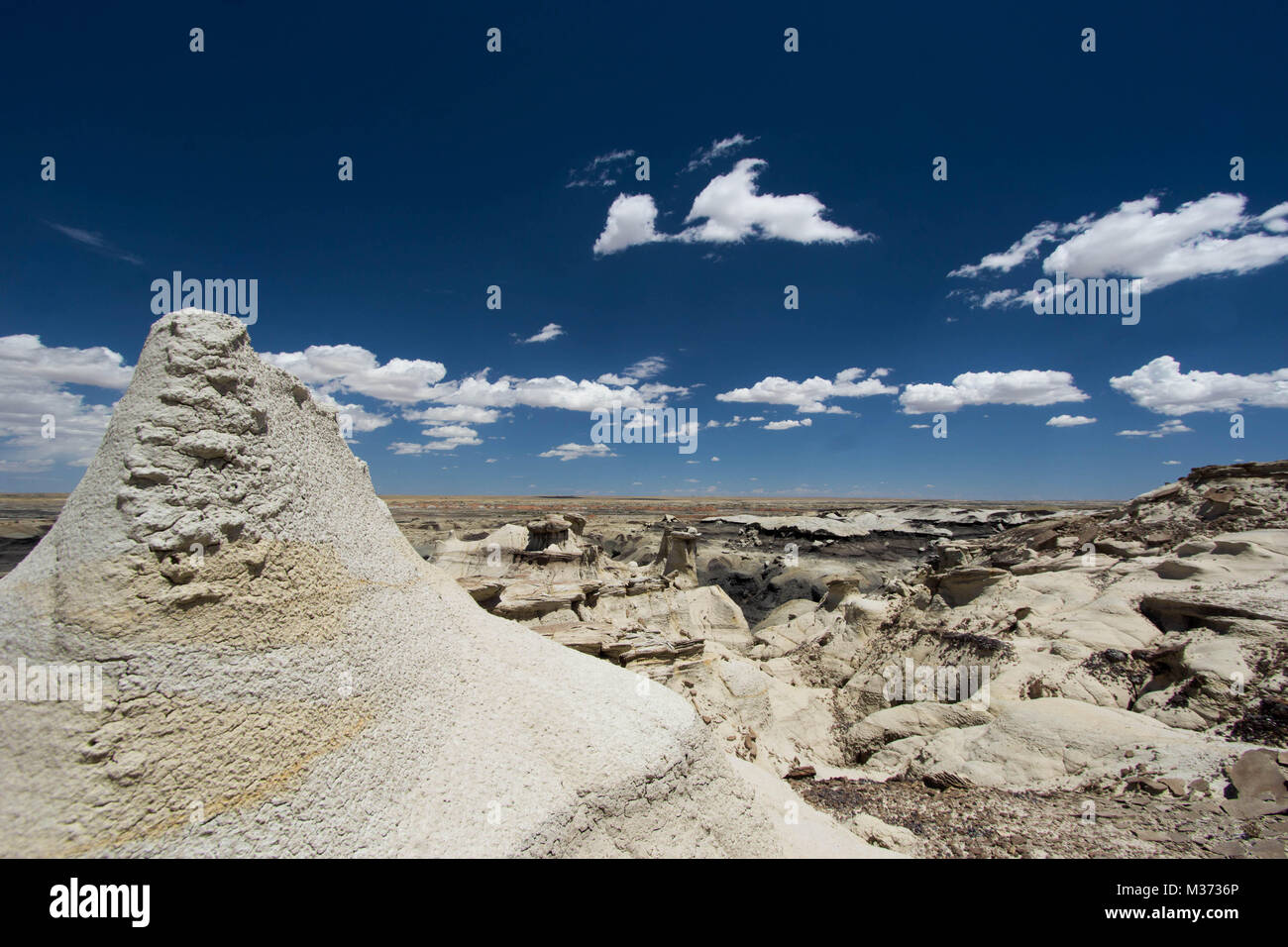 Wilden und abgelegenen Landschaft der Wüste in der Bisti Wilderness Area im Nordwesten von New Mexico in der Nähe von Farmington mit Hoodoos und bizarren Felsformationen Stockfoto