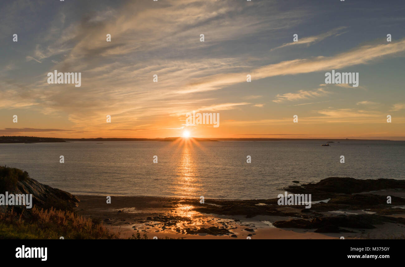 Wunderschöne Meer Sonnenaufgang mit Kelp Betten und Sandstrand im Vordergrund auf der Bucht von Fundy in New Brunswick in Cannada Stockfoto