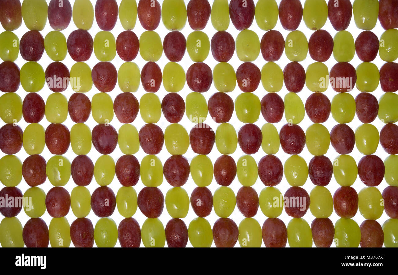 Weiße und rote Trauben in einem geometrischen Muster. Hinterleuchtete und Wasser besprüht für ein helles Bild. Stockfoto