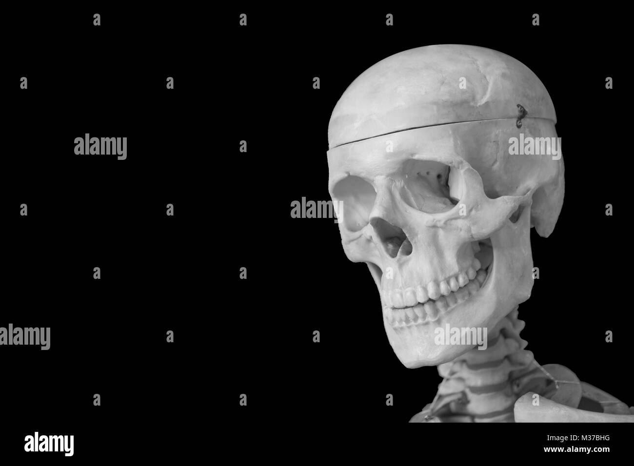 Menschlicher Schädel Kopf auf Schwarz mit Platz für Text isoliert. Stockfoto