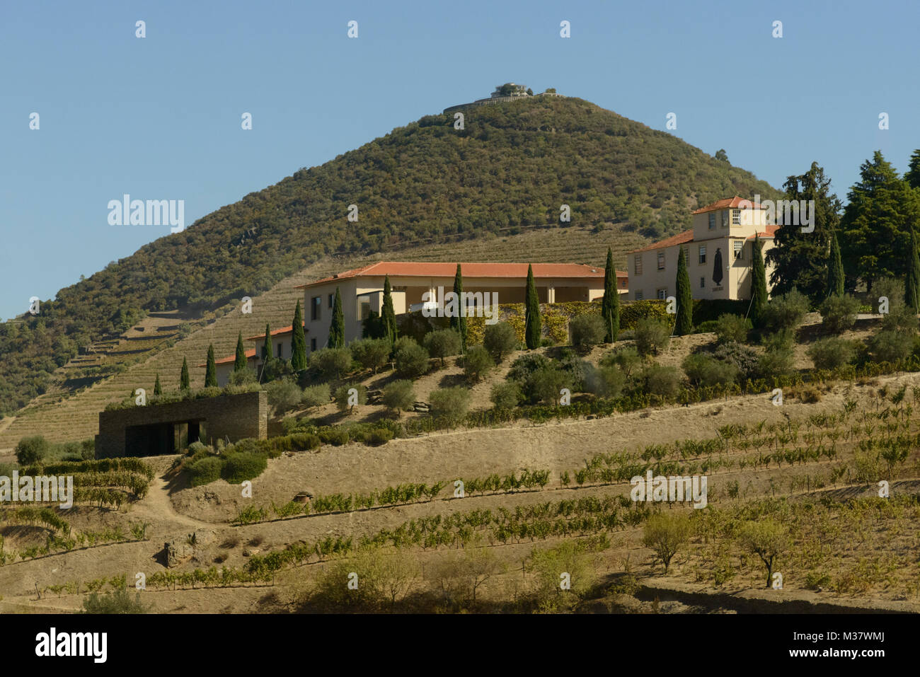 Quinta do Seixo, Hersteller von Sandeman Port Wein, Douro Valley Region, Portugal, Europa Stockfoto