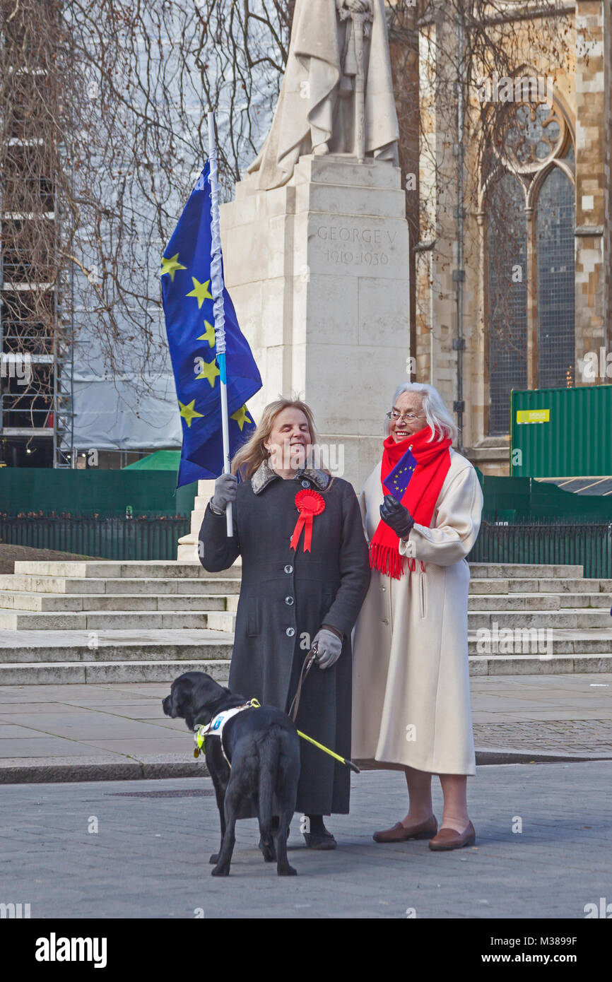 London, Westminster Stop Brexit Kampagne Unterstützer - eine UNGESEHEN-Multiplikatoren die Meldung 'im Alten Schloss Hof Stockfoto