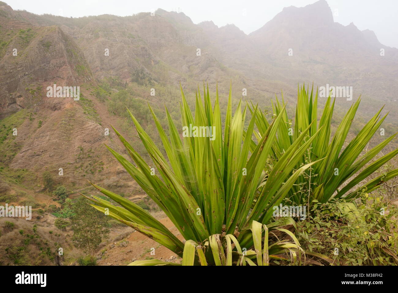 Wandern in der Nähe von Rui Vaz, Insel Santiago, Kap Verde Stockfoto