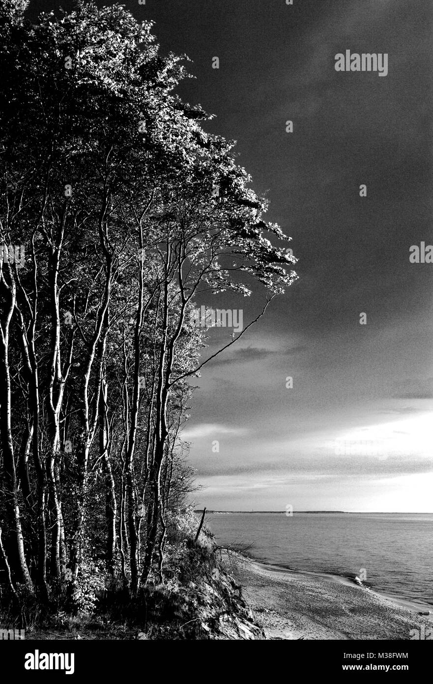 Bewaldeten Löss Klippe auf Ostseeküste Strand entlang Linie in Rowy, Pommern, Polen Stockfoto