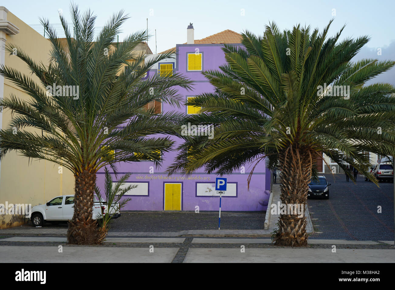 Zwei Palmen auf der Praça Dom Joao II in Mindelo. Sao Vincente, Kap Verde Stockfoto